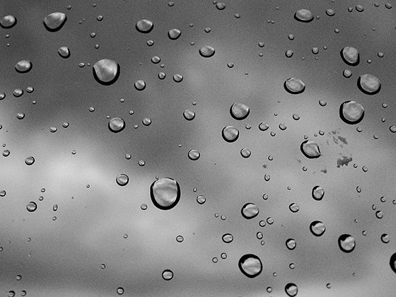 Rain