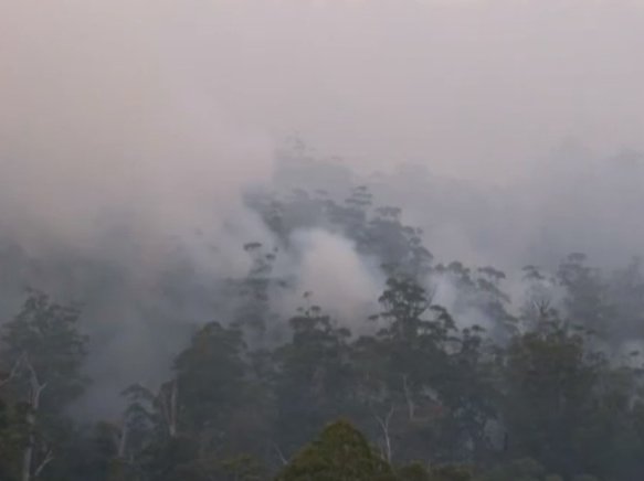 rainforest fire.jpg