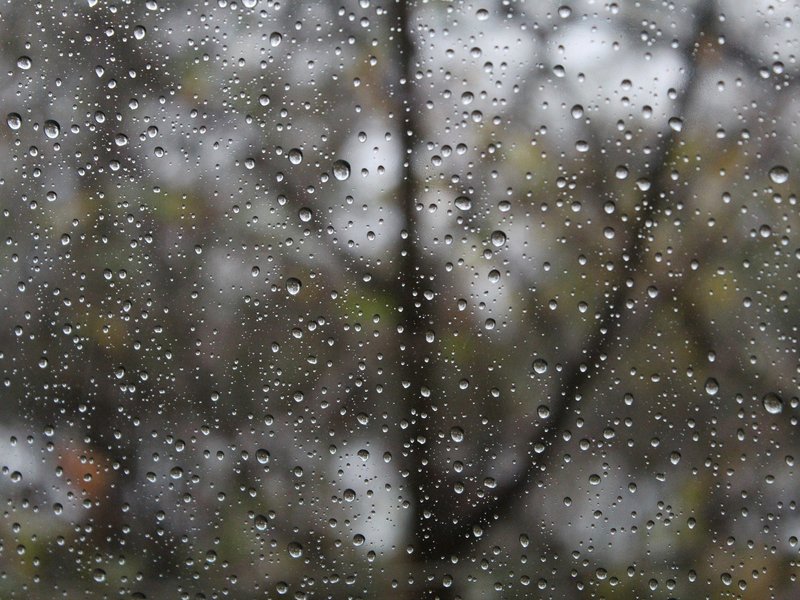 Rain Breakfast