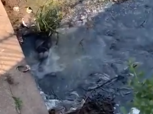 Sewage spill durban