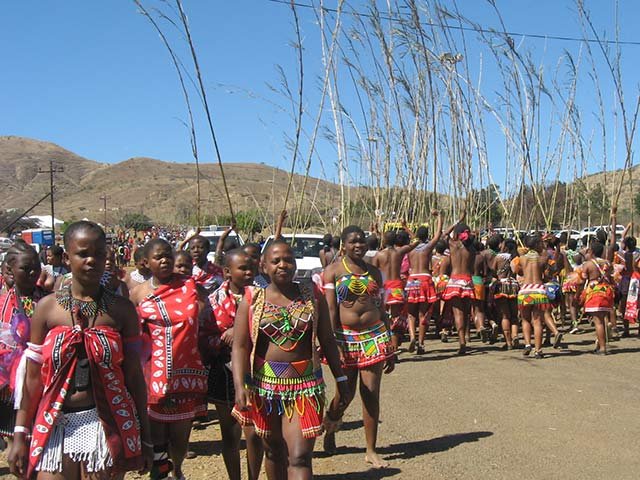 reed_dance_nm3.jpg