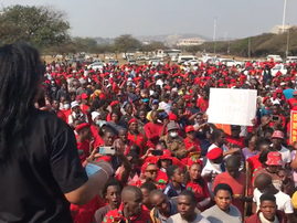 resized EFF march in phoenix Steve.png