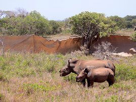 Kruger National Park invests on drone technology