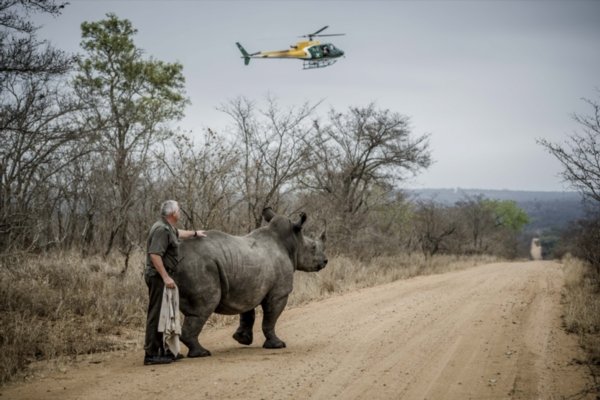 rhino_68.jpg