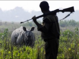 rhino_kaziranga_assam1.jpg