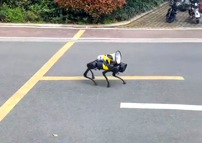 WATCH: COVID-19 instructions in Shanghai are barked by a robot dog