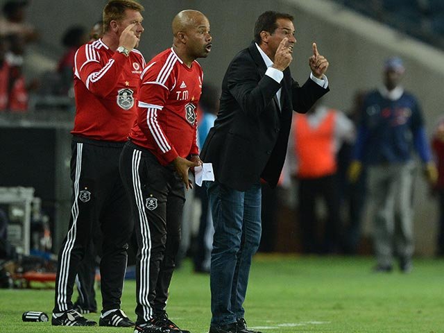 rogerdesa_duifdutoit_gallo_1.jpg