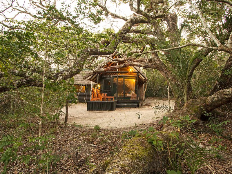 Isibindi Kosi Forest Lodge