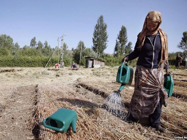 ruralbusiness.jpg