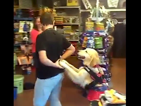salsa dog