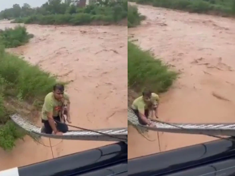A hero: Man risks life to rescue dog trapped in raging waters | East ...