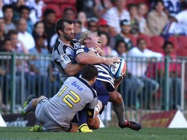 schalkburger_shaunroy_gallo_MfiZSR2.jpg