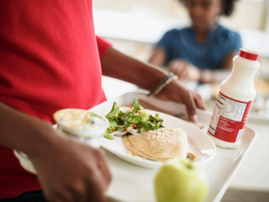 School feeding scheme