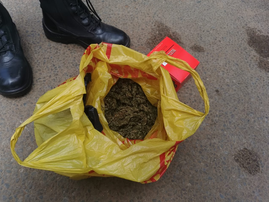 School dagga seized