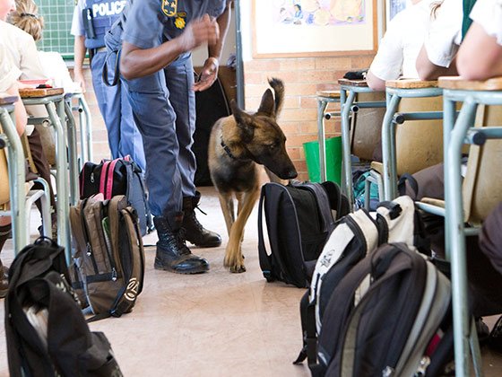 school_security_police_gallo_SfgvTbk.jpg