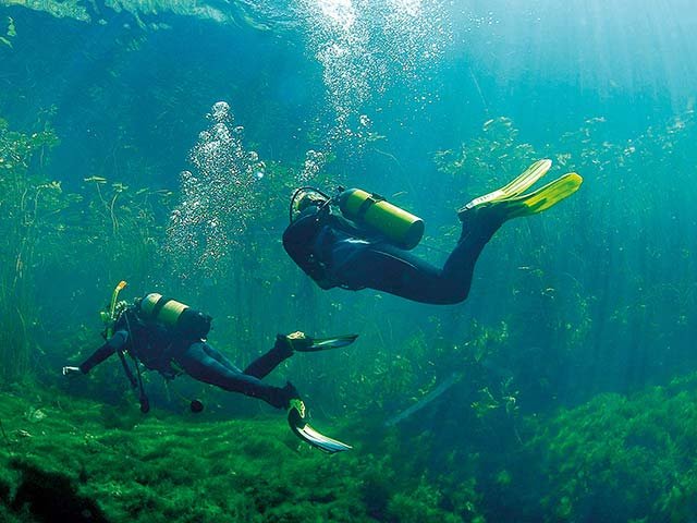scubadiving2_Gallo_5.jpg