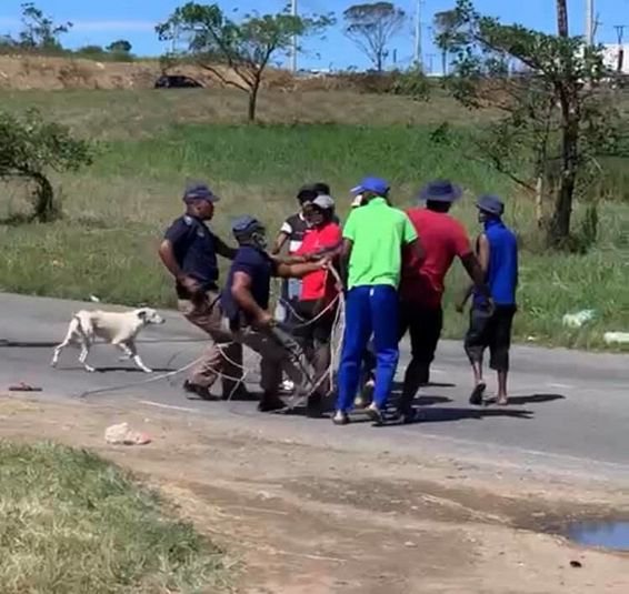 scuffle with police