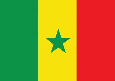 NGO alarmed after Senegal arrests 12 on same-sex charges