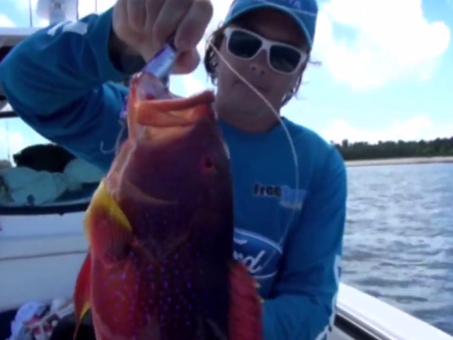 seychelles-fishing-edited.png