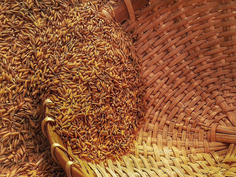 Grains