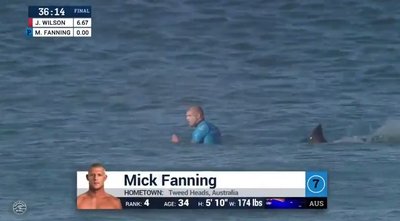 Mick Fanning shark attack: Leaked footage