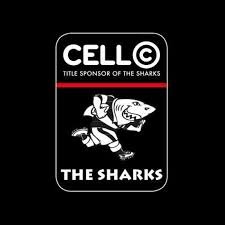 sharks_14.jpg