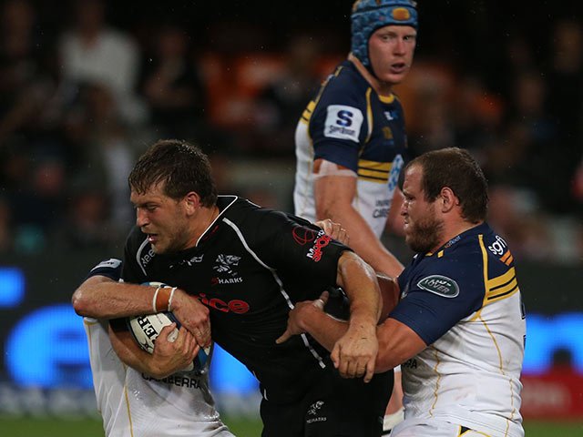 sharks_steve-haag_gallo_1.jpg