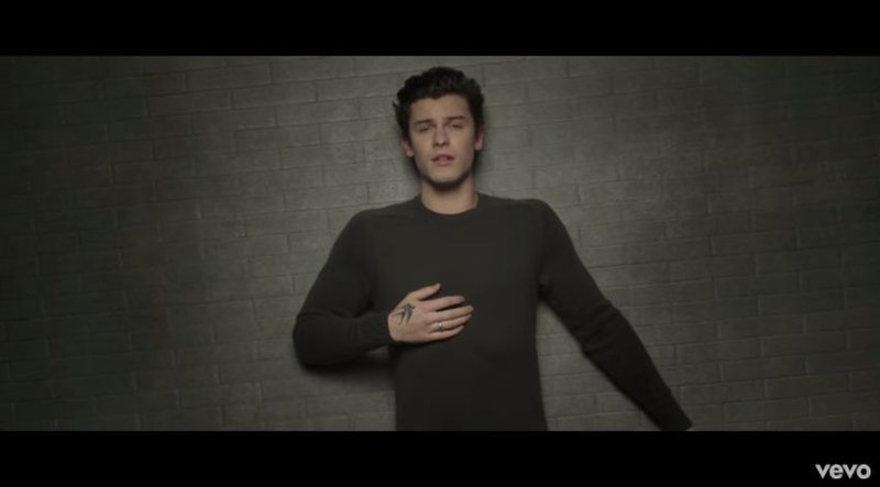 Shawn Mendes In My Blood music video