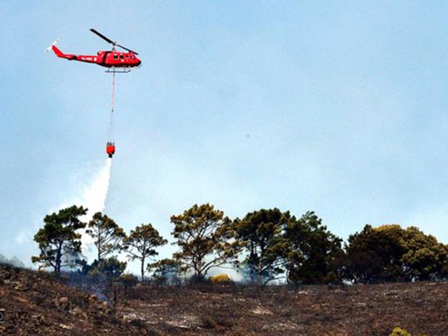 Suignal Hill fire via Twitter