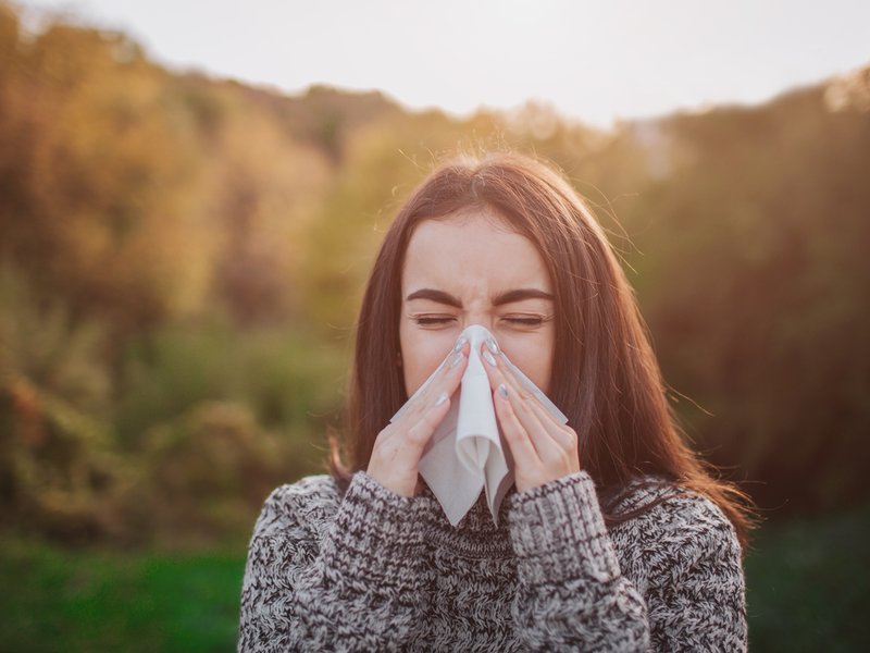 Sinus