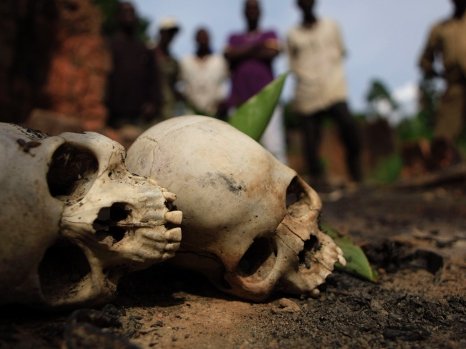 skull.jpg