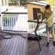 Snake rescues itself