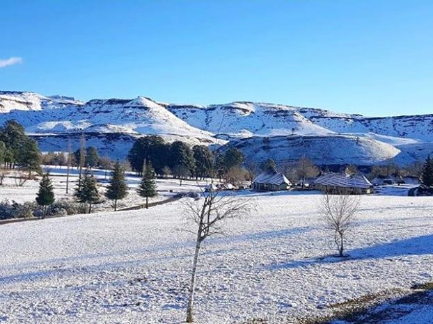 Snow on the Drakensberg Gardens