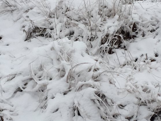 Snow in Dargle, KZN