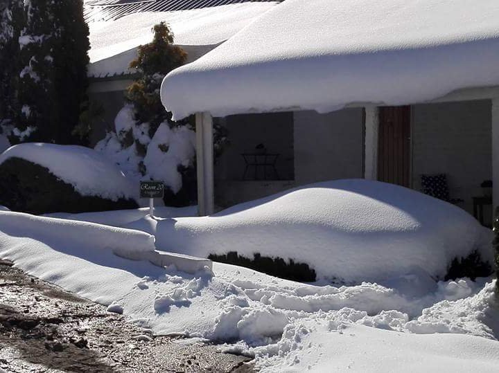 Snow Elliot EC