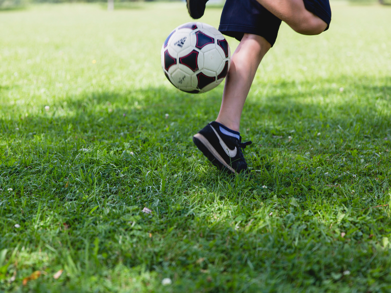 The minister of sport has called for sport to be incorporated into the school curriculum.