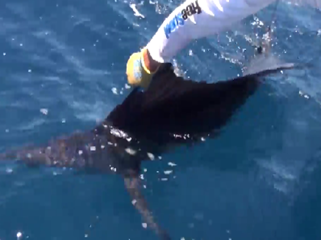 sodwana-fishing-edited.png