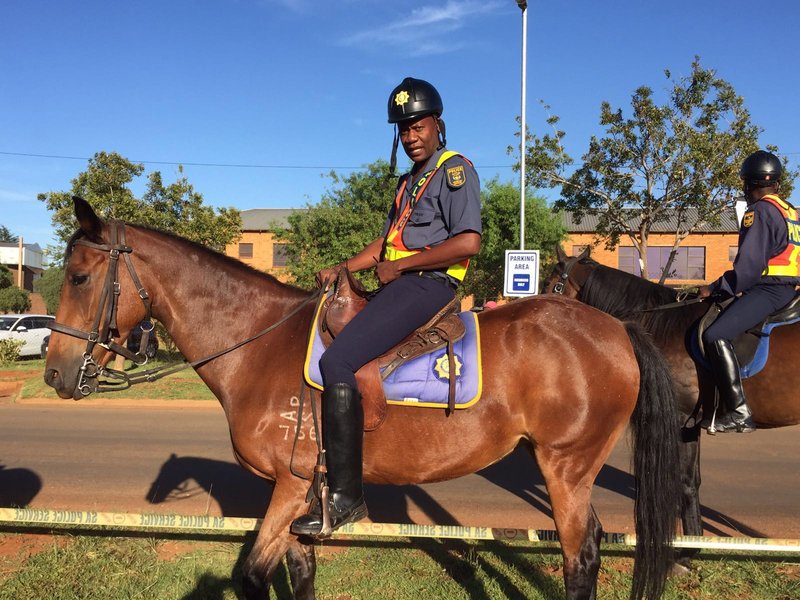Gauteng 2016 Sopa SAPS horses
