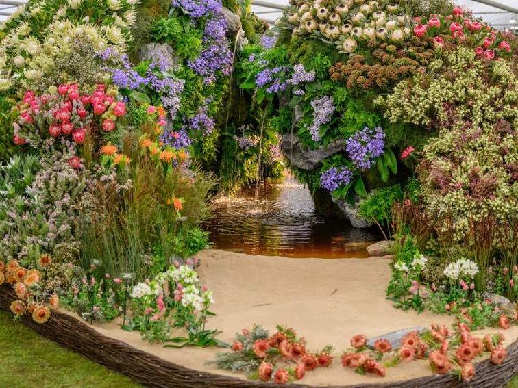 WATCH: South Africa takes gold at RHS Chelsea Flower Show
