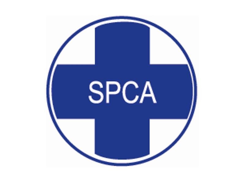 SPCA Logo