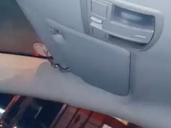 spider