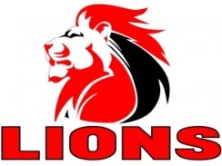 sports_rugby-union_golden-lionstransvaal.jpg