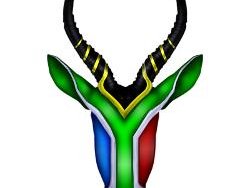 springbok_flag_laptop_skins.jpg