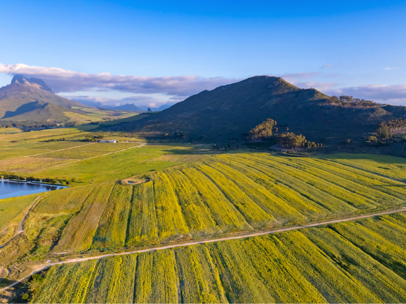 Western Cape smart city is becoming a reality