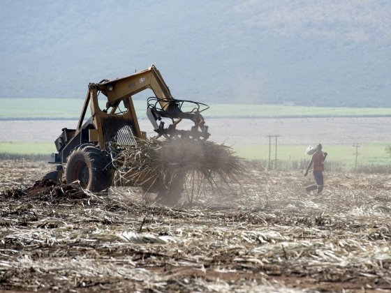 KZN drought: Sugarcane farmers to meet Agriculture Dept
