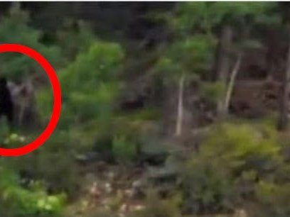 tahoesighting.JPG