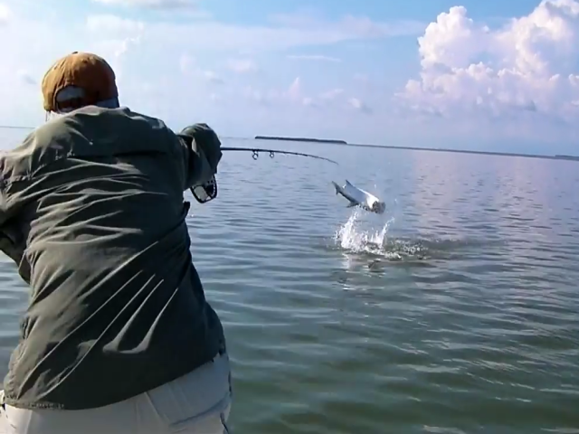 tarpon-fishing-edited.png