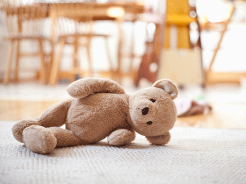 Teddy