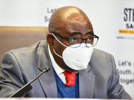 Thulas Nxesi