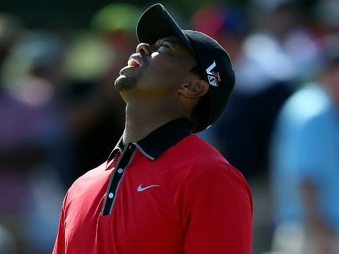 Tiger Woods